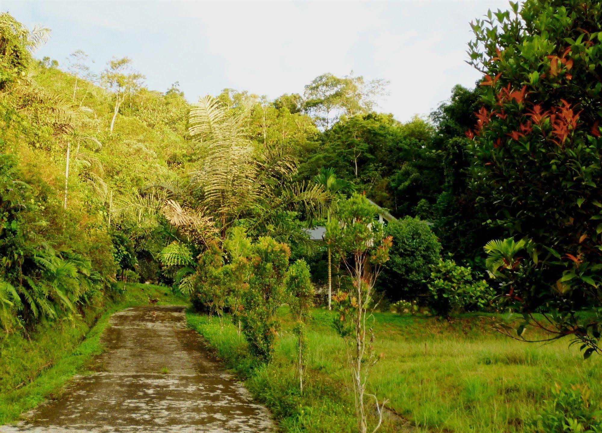 Manis Manis Rooftop Of Borneo Resort Keningau Eksteriør billede